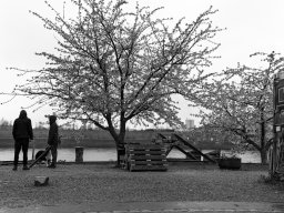 Holzpark Basel 28.03.2026