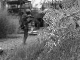 Holzpark Basel 28.03.2026