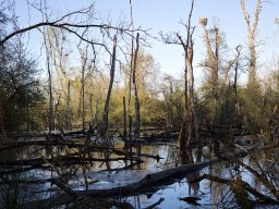 2025 &raquo; Petite Camargue, 26.04.2025